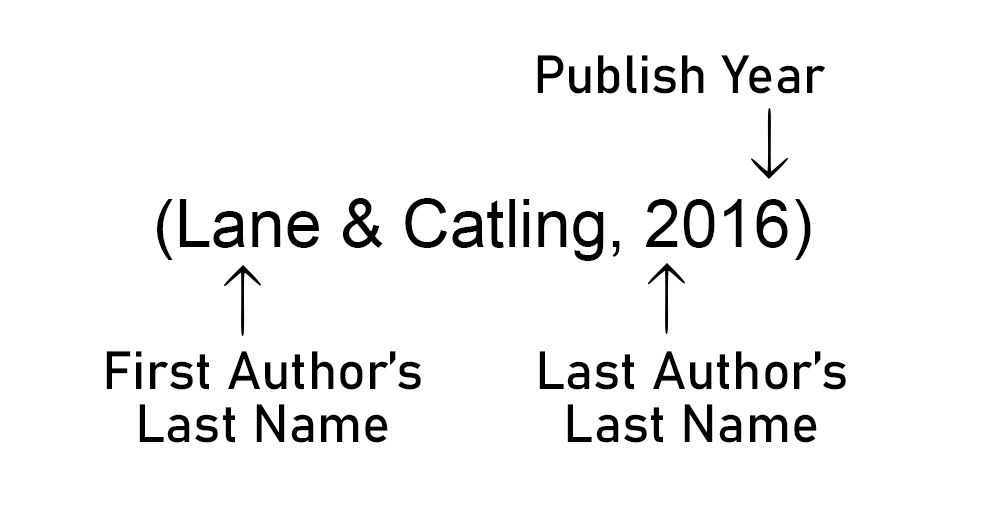 An image of an in-text citation showcasing typical example of APA 7 Journal Article intext citation