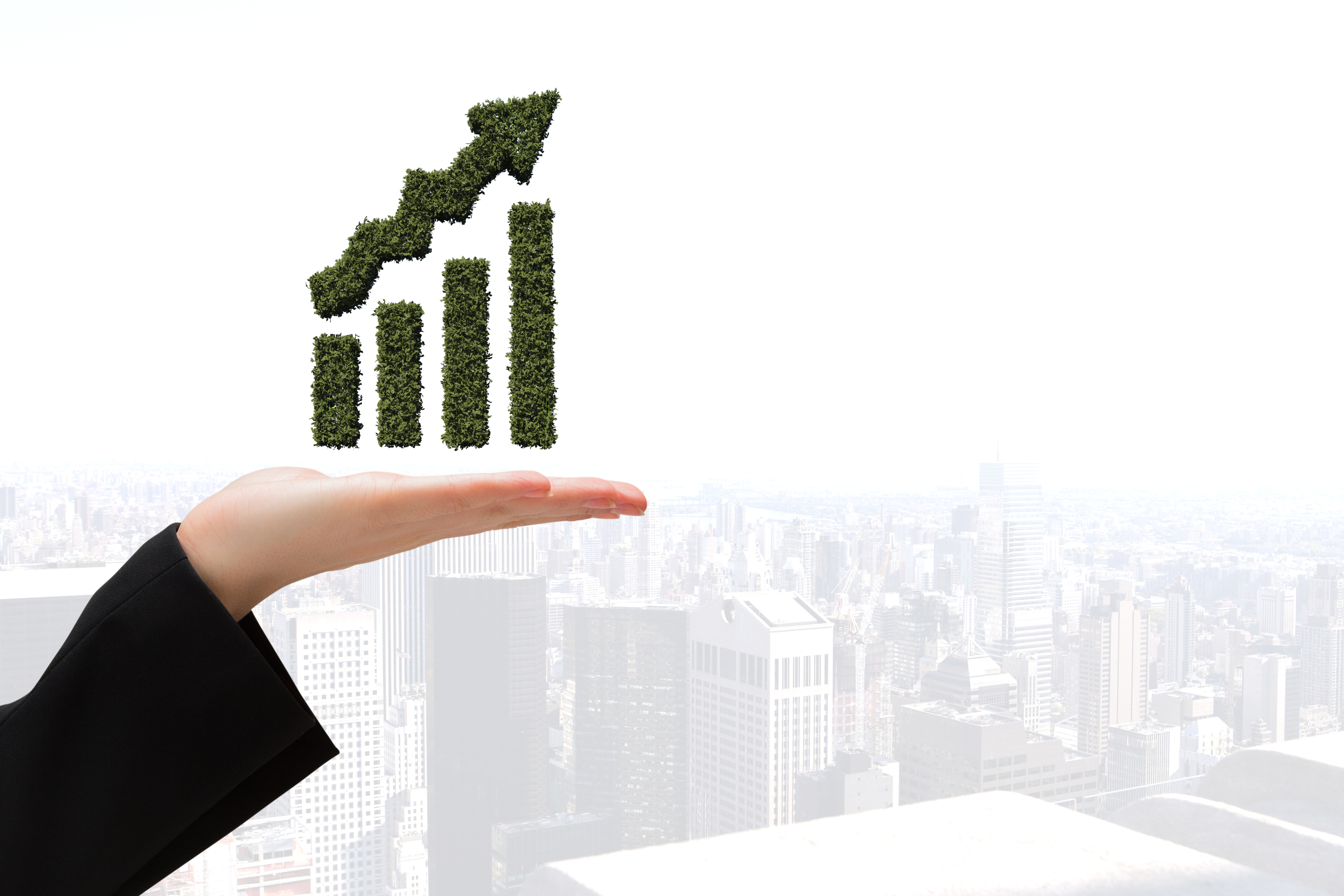 Efficiency-Focused Solutions Trusted by Growing Companies -Image