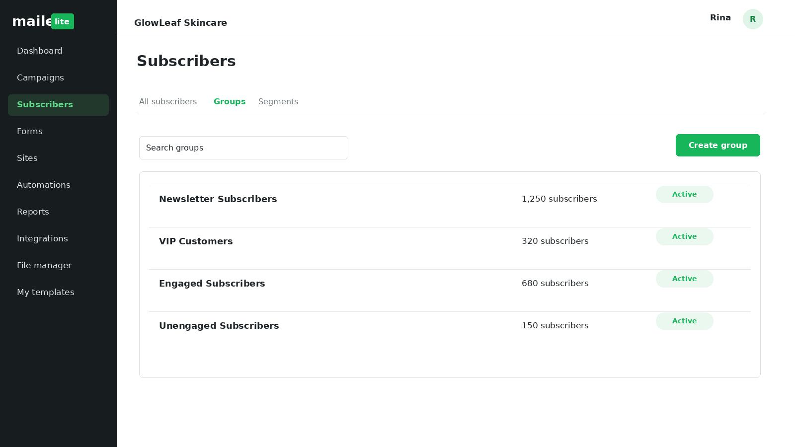 MailerLite subscribers screen showing audience groups such as newsletter subscribers, VIP customers, engaged subscribers and unengaged subscribers.