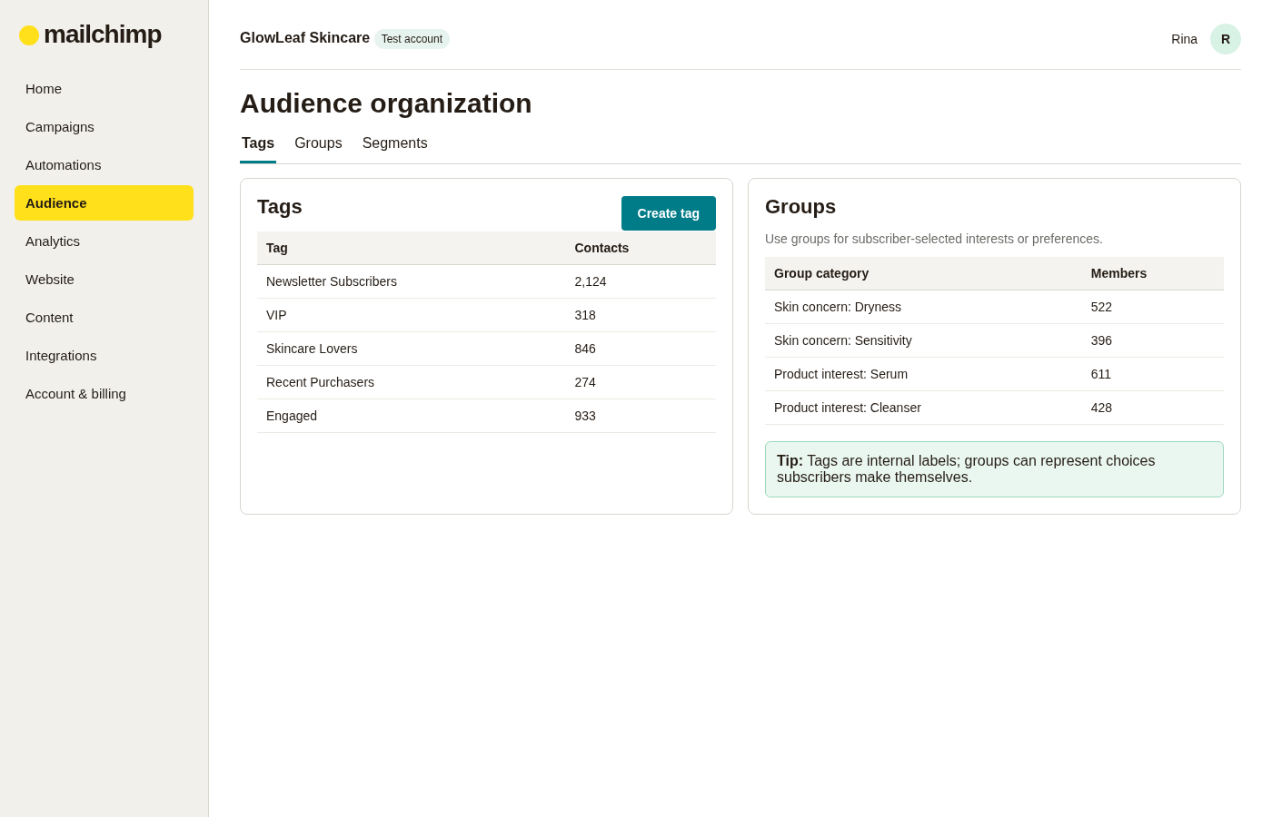 Mailchimp audience organization screen showing tags, subscriber groups and member counts used to organize contacts.