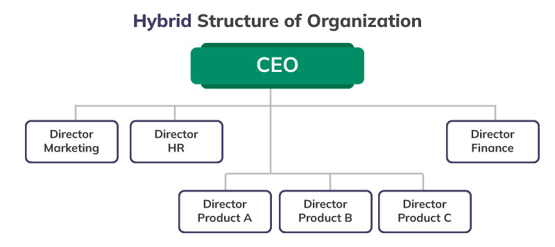 Hybrid organizational structure