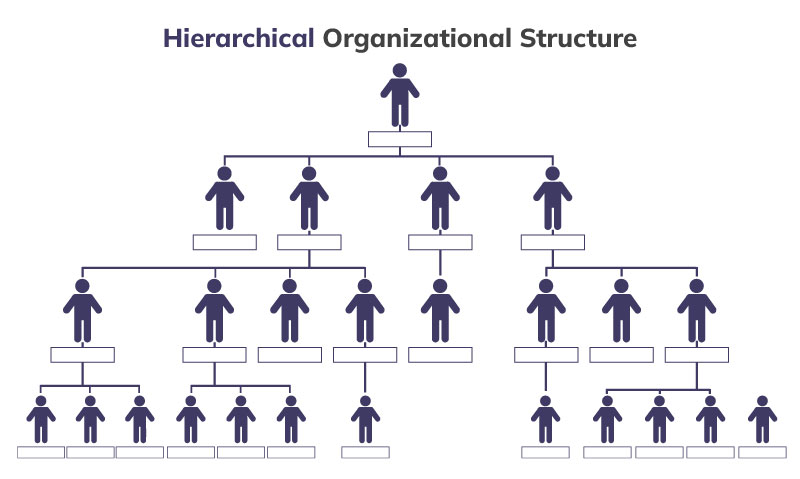 Hierarchies in the organization