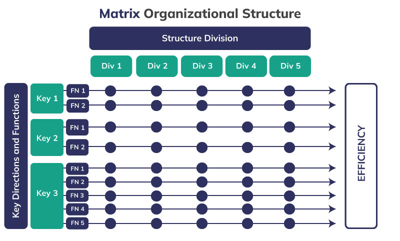 Matrix organizational structure
