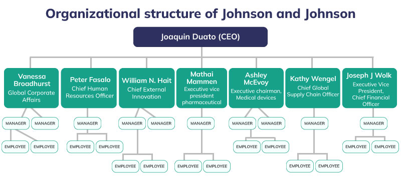 Johnson and Johnson organizational structure