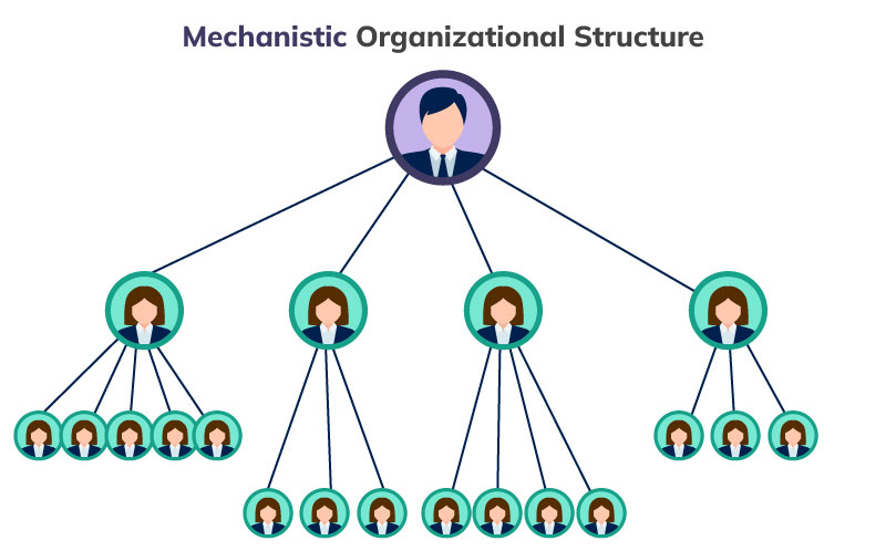 Mechanistic organizational structure