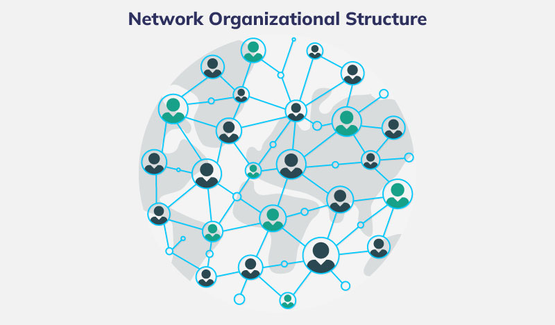 Network structure of organization