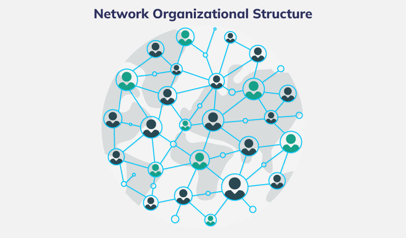 network organization case study