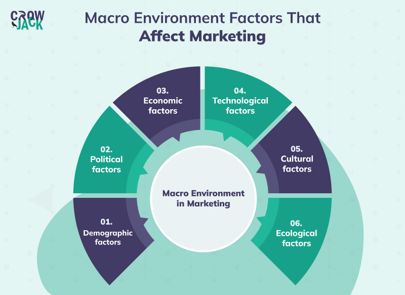 The macro environment in marketing