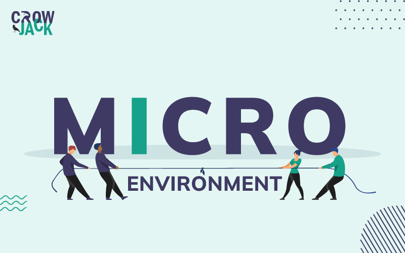 Every Thing You Need to Know About Micro-environment!
