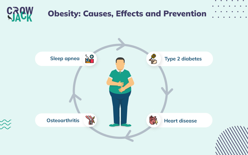 Essay: The Prevalence of Obesity in the Modern Era -Image