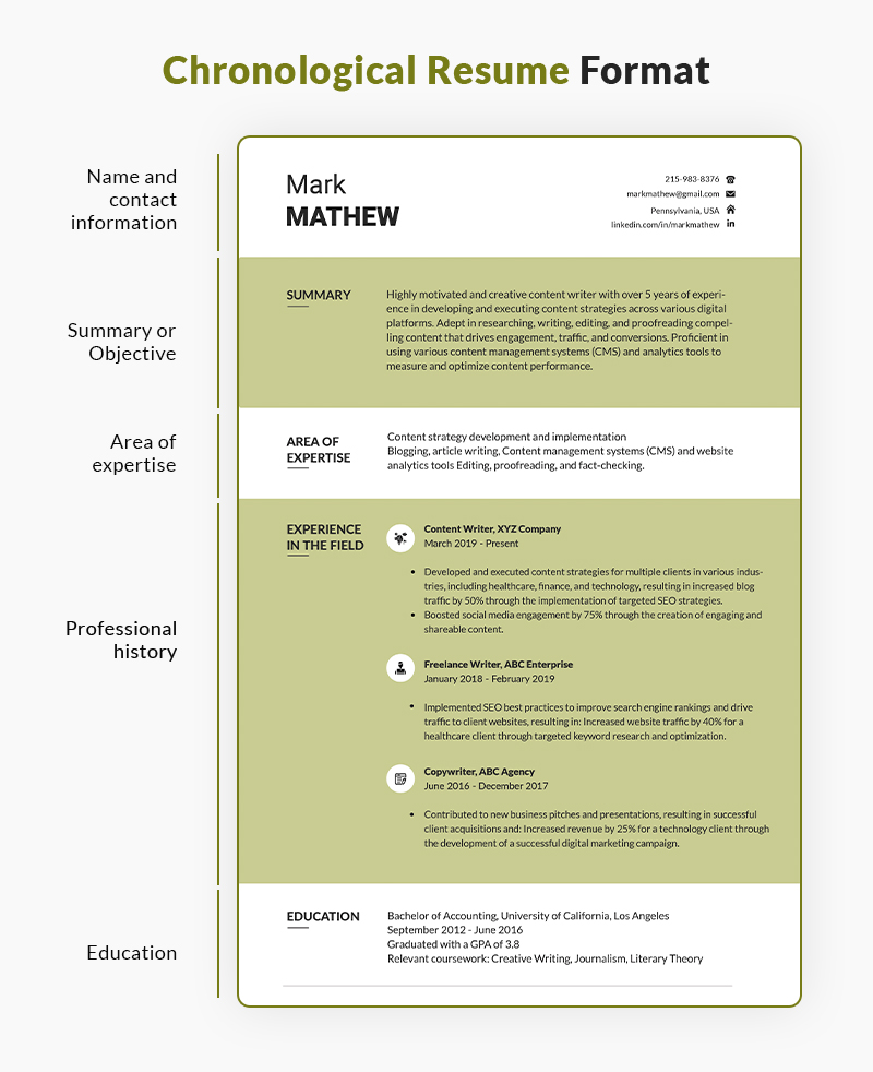 Format of chronological resume