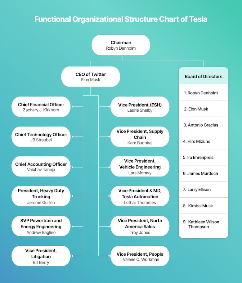 Indepth assessment of organization structure Tesla